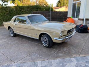 66 Mustang1